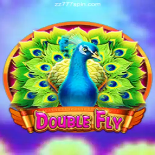 Exploring the Thrills of DoubleFly
